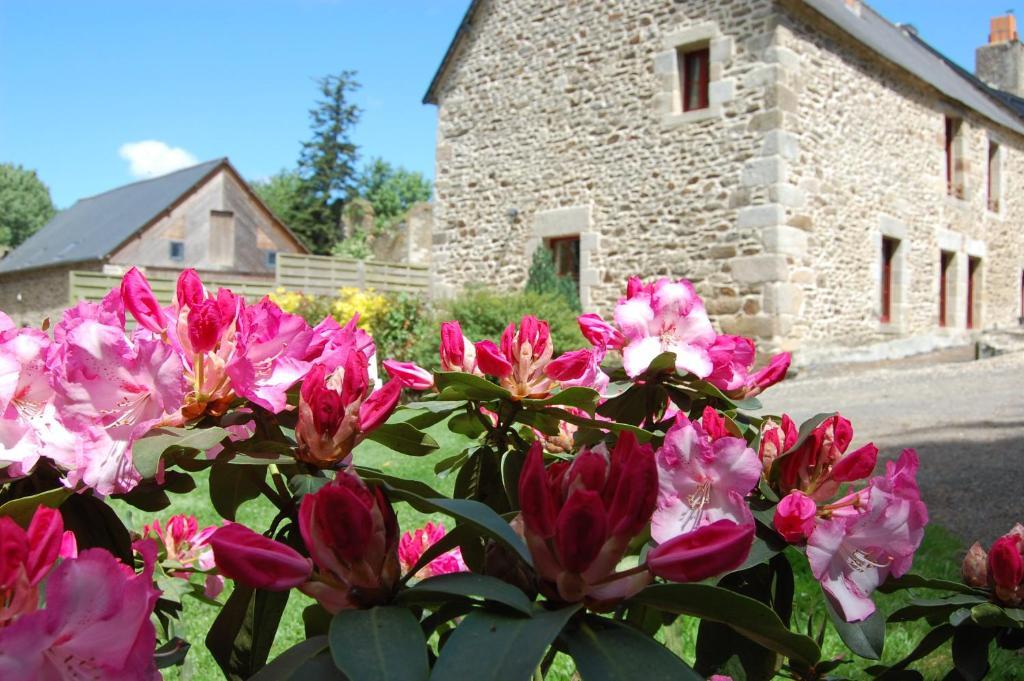 Maison D'Hotes & Gites Domaine De La Garaye Dinan Kültér fotó